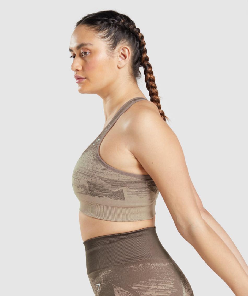 Gymshark Adapt Ombre Seamless Ženske Sportski Grudnjak Smeđe | HR 3339JPQ